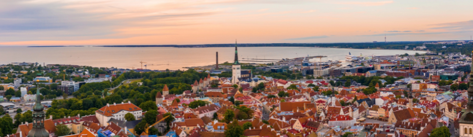 Company Formation and Holding Companies in Estonia