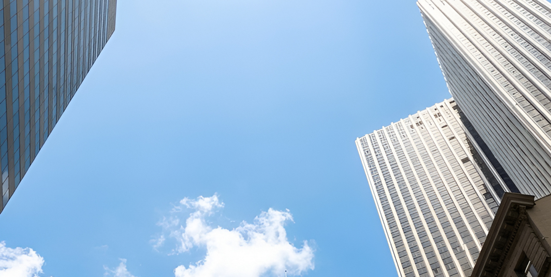 What Business Plan must contain